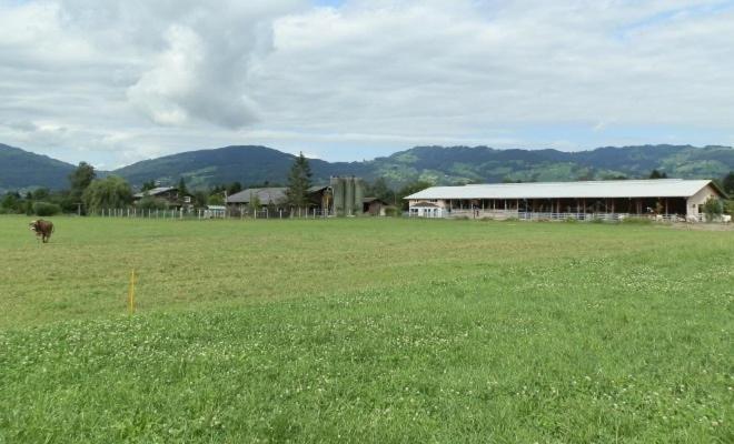 Steigmatt Bauernhof- Erlebnis Villa Montlingen Dış mekan fotoğraf